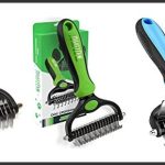 best australian shepherd grooming tools