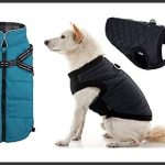 best dog coat with harness