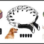 best dog collars for german shepherds