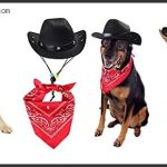 best dog with cowboy hat