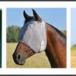 best draft horse fly mask