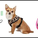 best leopard print dog harness