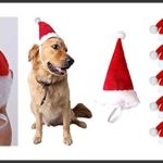 best santa hats for dogs