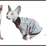 best sphynx cats in sweaters