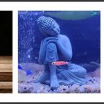 best buddha fish tank decor