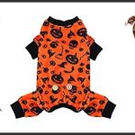 best dog pajamas for pitbulls